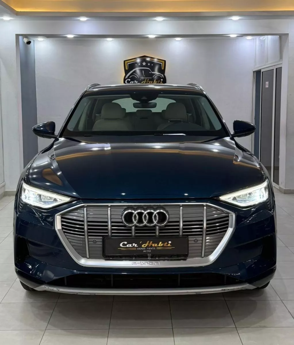 Audi E-tron Advanced 50 Quattro 230 kwh 313 cv