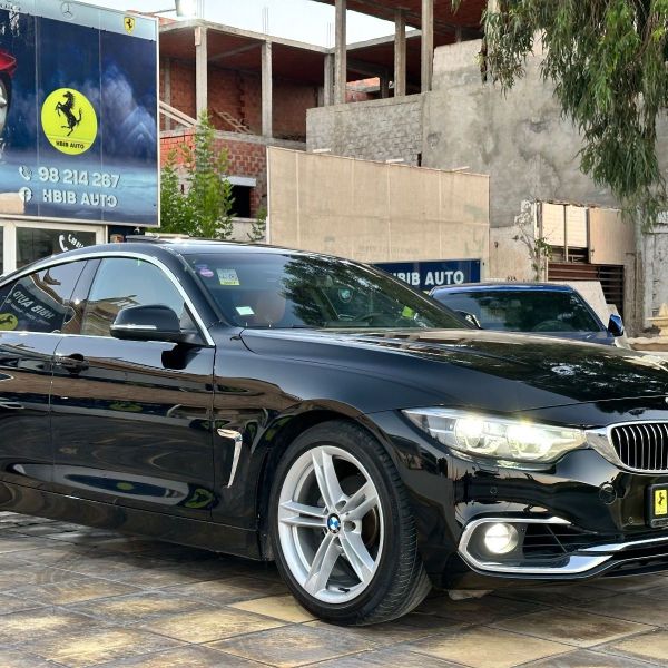 Image réduite de l'annonce