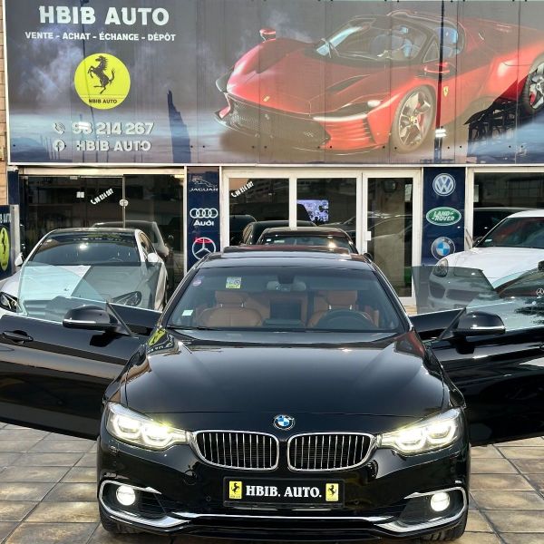 Image réduite de l'annonce