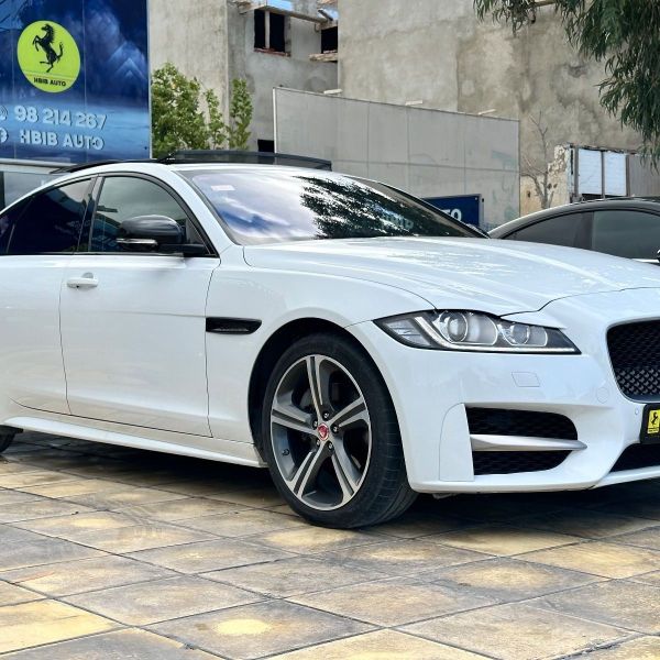 Image réduite de l'annonce