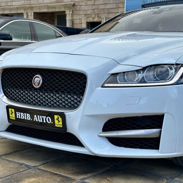 Image réduite de l'annonce