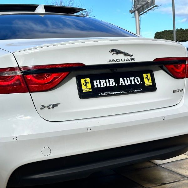 Image réduite de l'annonce