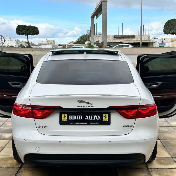 Image réduite de l'annonce