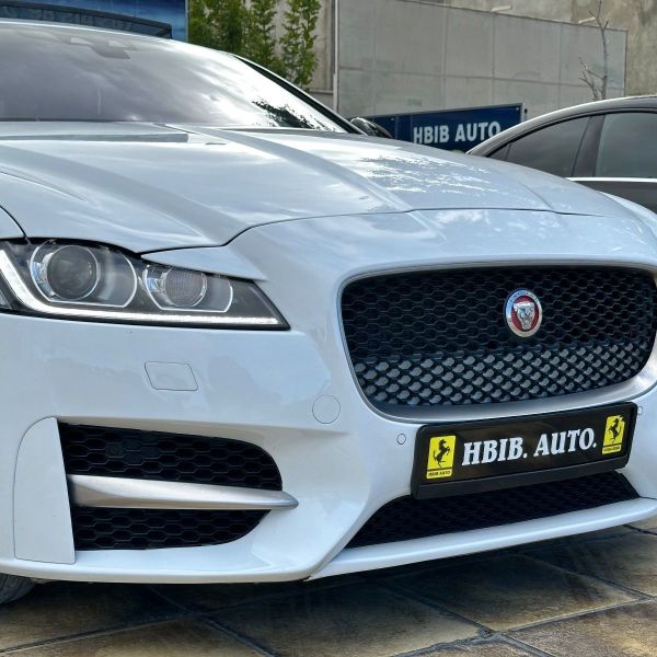 Image réduite de l'annonce