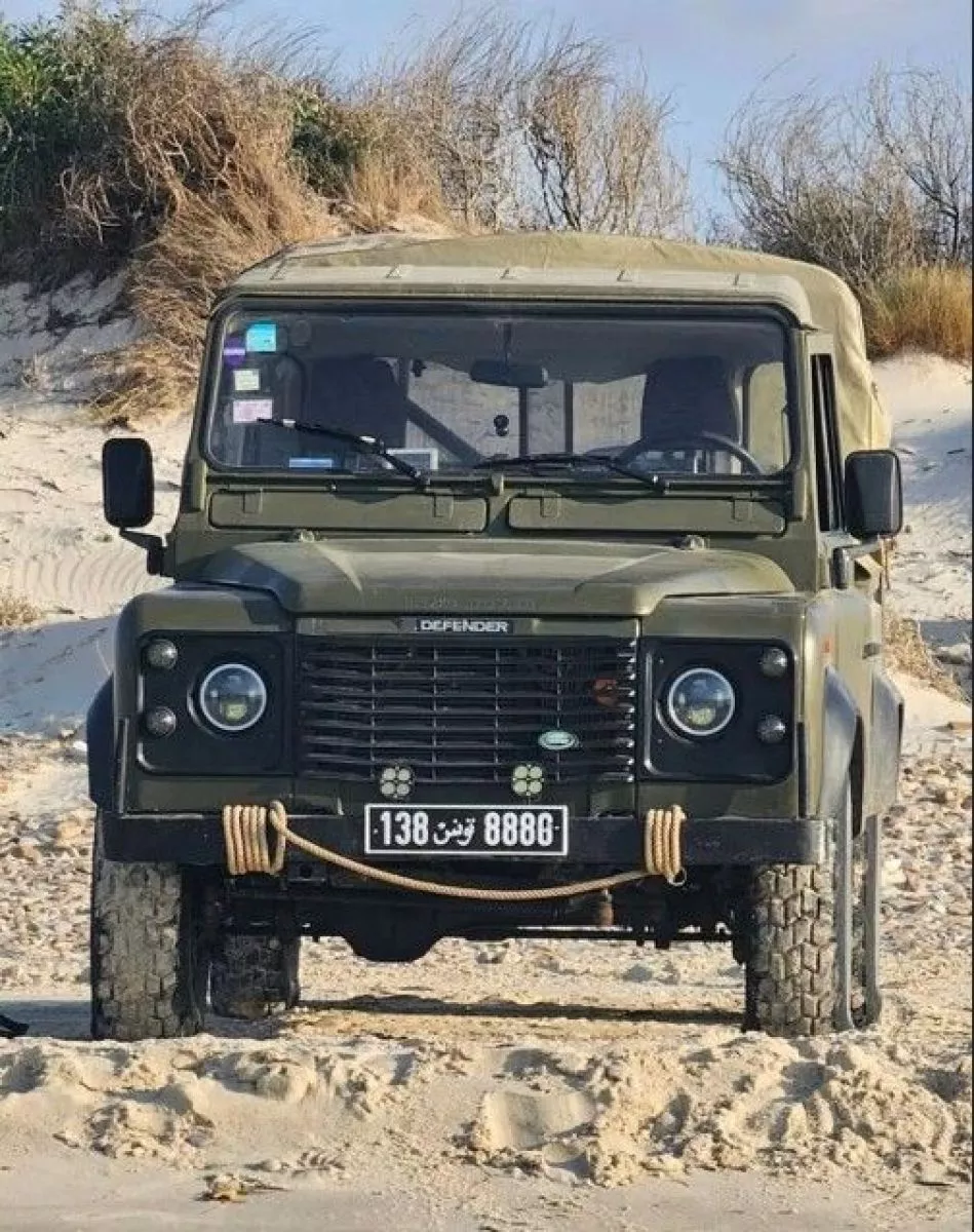 Land Rover Defender 110 2.5 TDi Pickup 113cv