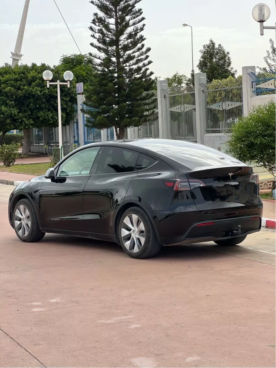 Tesla Model Y Long Range 347 cv Boîte auto