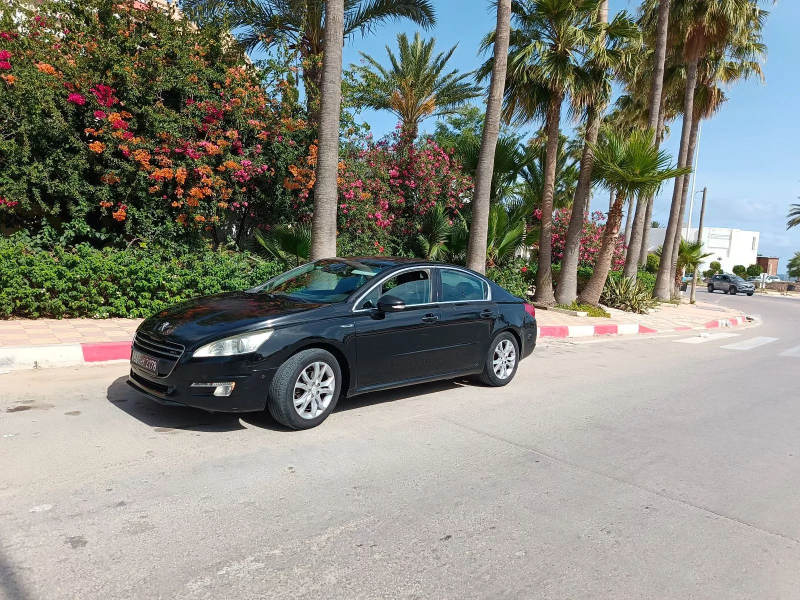 Peugeot 508 Féline 1.6 e-HDI FAP Blue Lion BMP6 S&S 115 cv