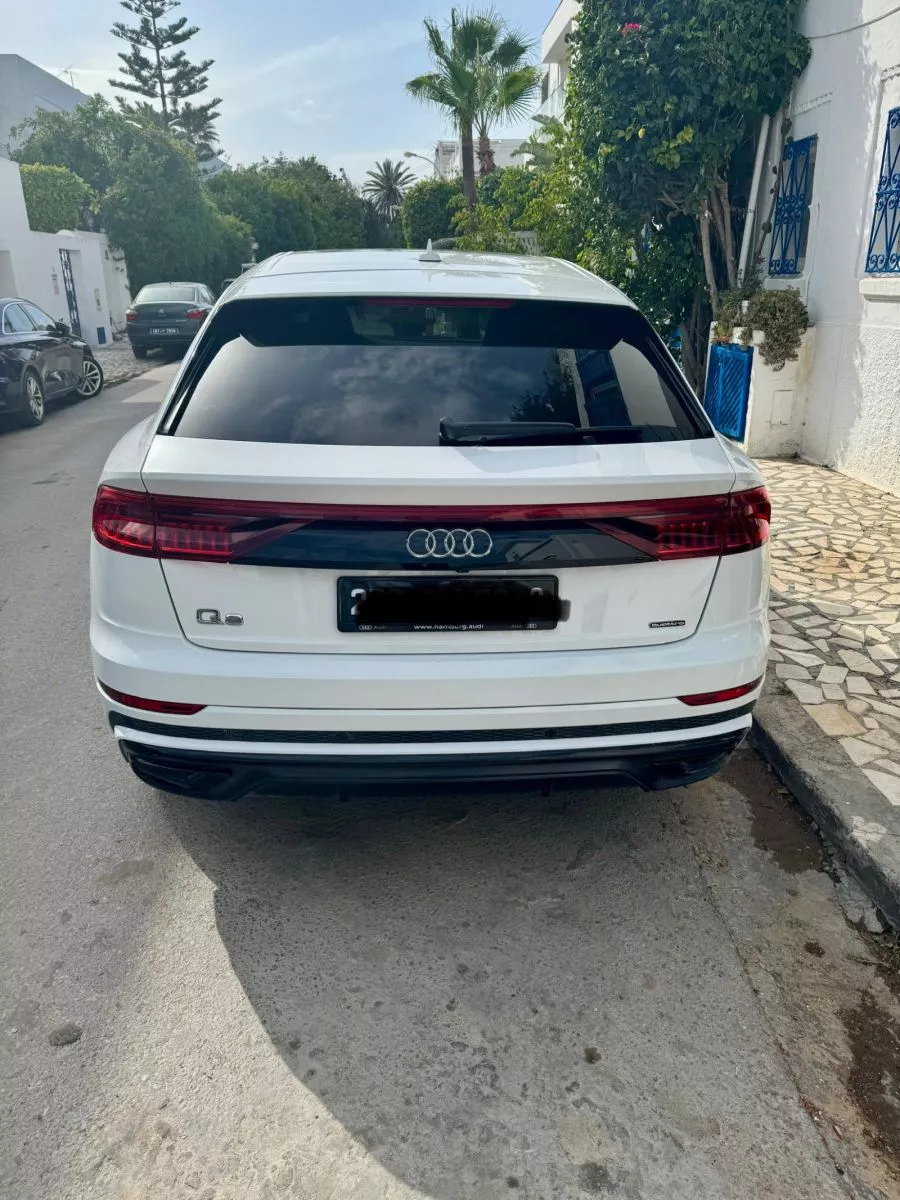 Audi Q8 50 3.0 TDI V6 24V Mild Hybrid Quattro Tiptronic8 286 cv Boîte auto
