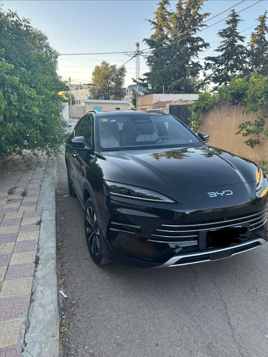 BYD Song Plus flagship smart driving edition