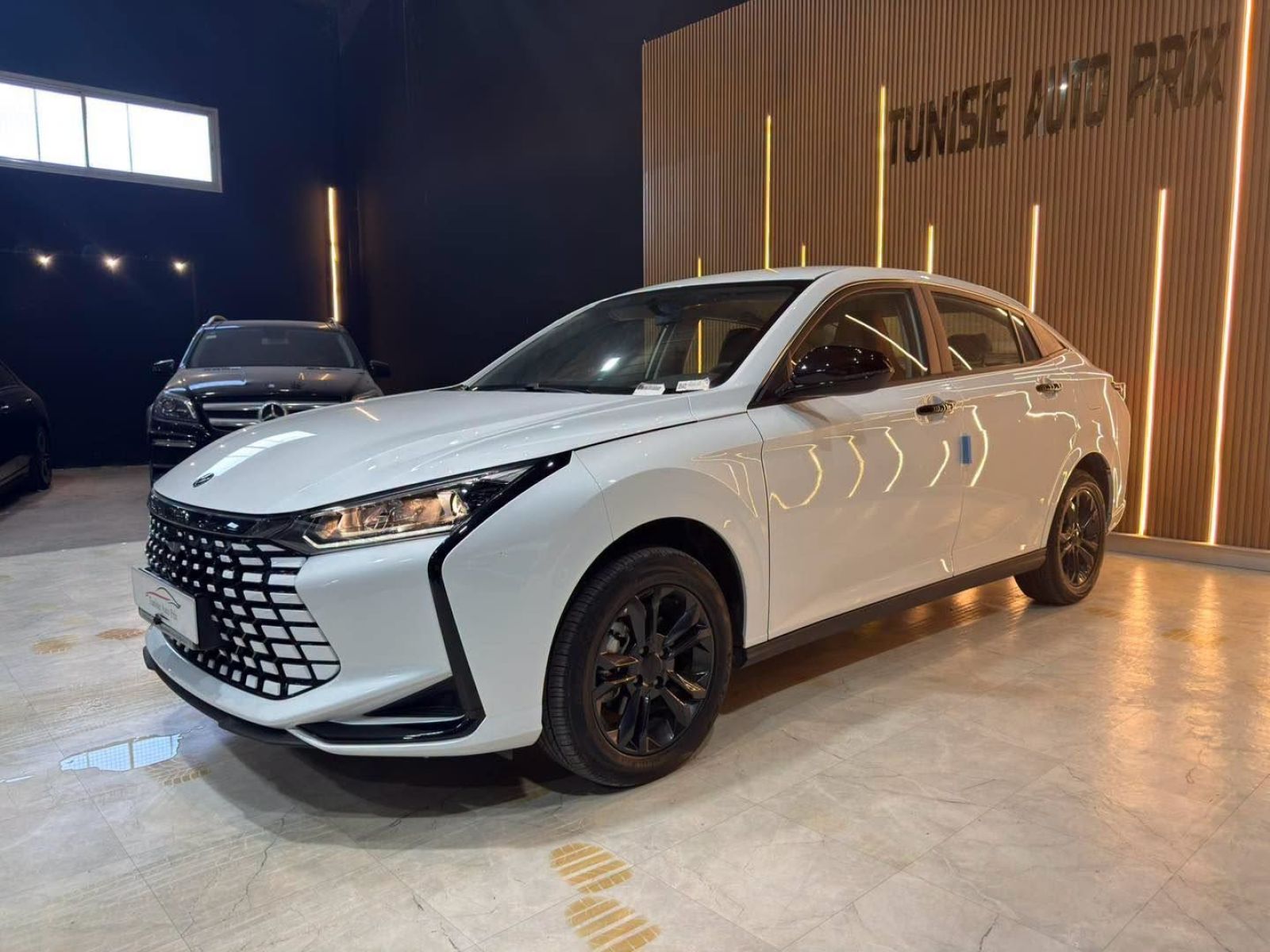 Dongfeng Shine