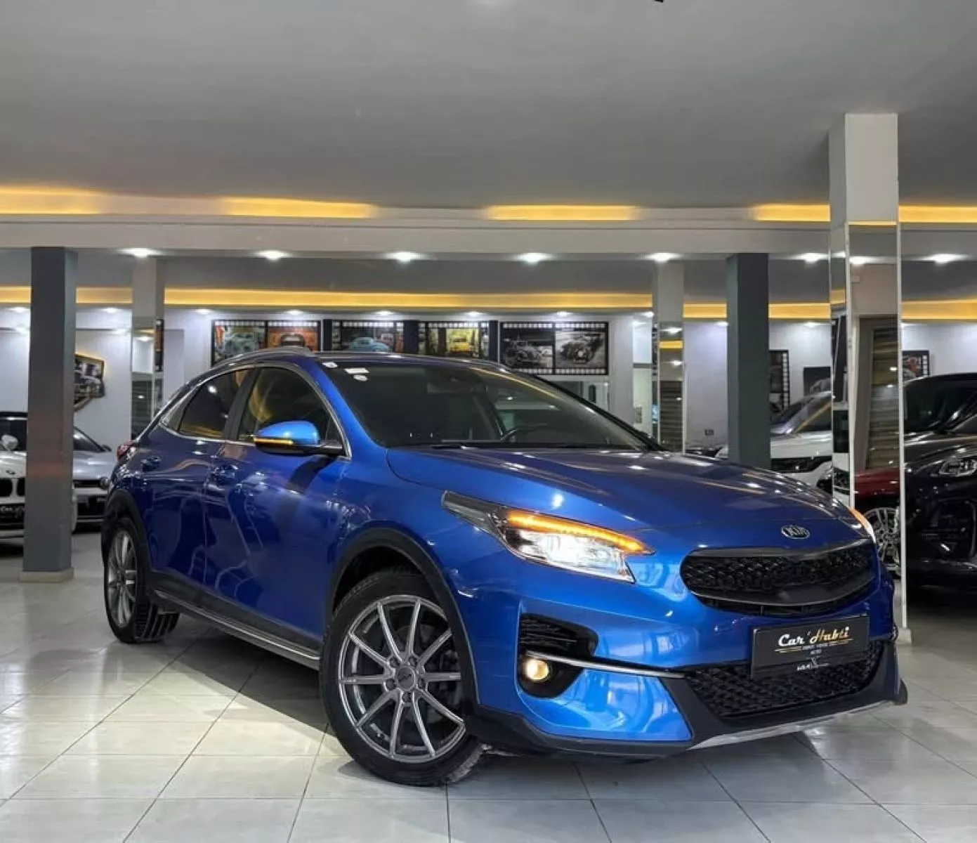 KIA XCeed 1.6 CRDi 16V DCT7 ISG 116 cv Boîte auto
