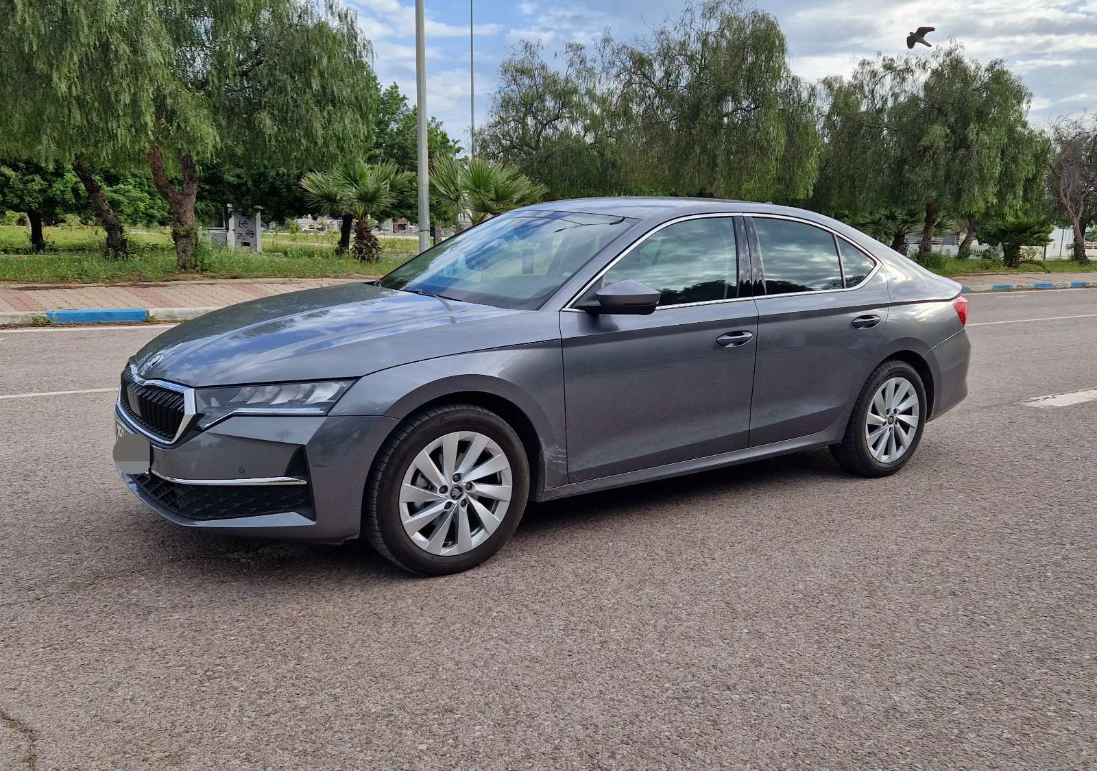 Skoda Octavia Selection