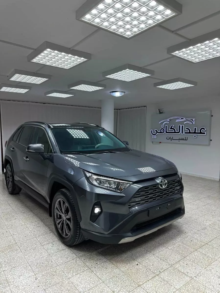 Toyota RAV 4 Active 2.5 VVT-iE 16V 222 Hybrid AWD-I E-CVT 177 cv Boîte auto