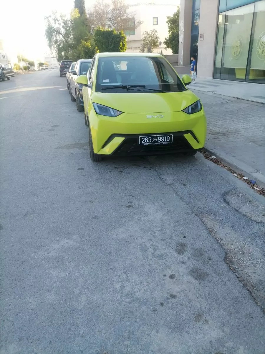 BYD Dolphin Surf