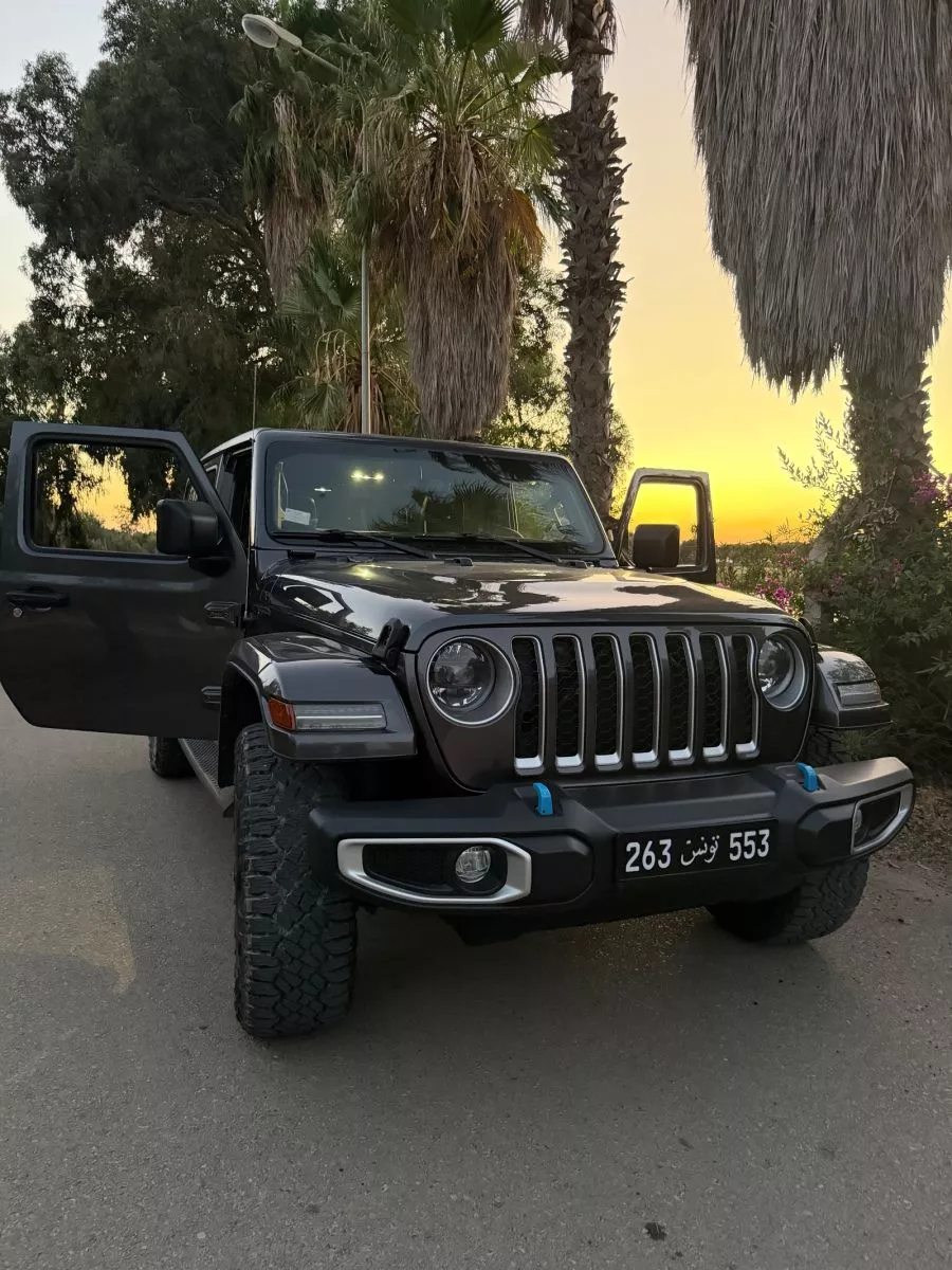 Jeep Wrangler Sahara UNLIMITED 4xe 2.0 T-GDi 16V 380 Plug in Hybrid 4WD 272 cv Boîte auto