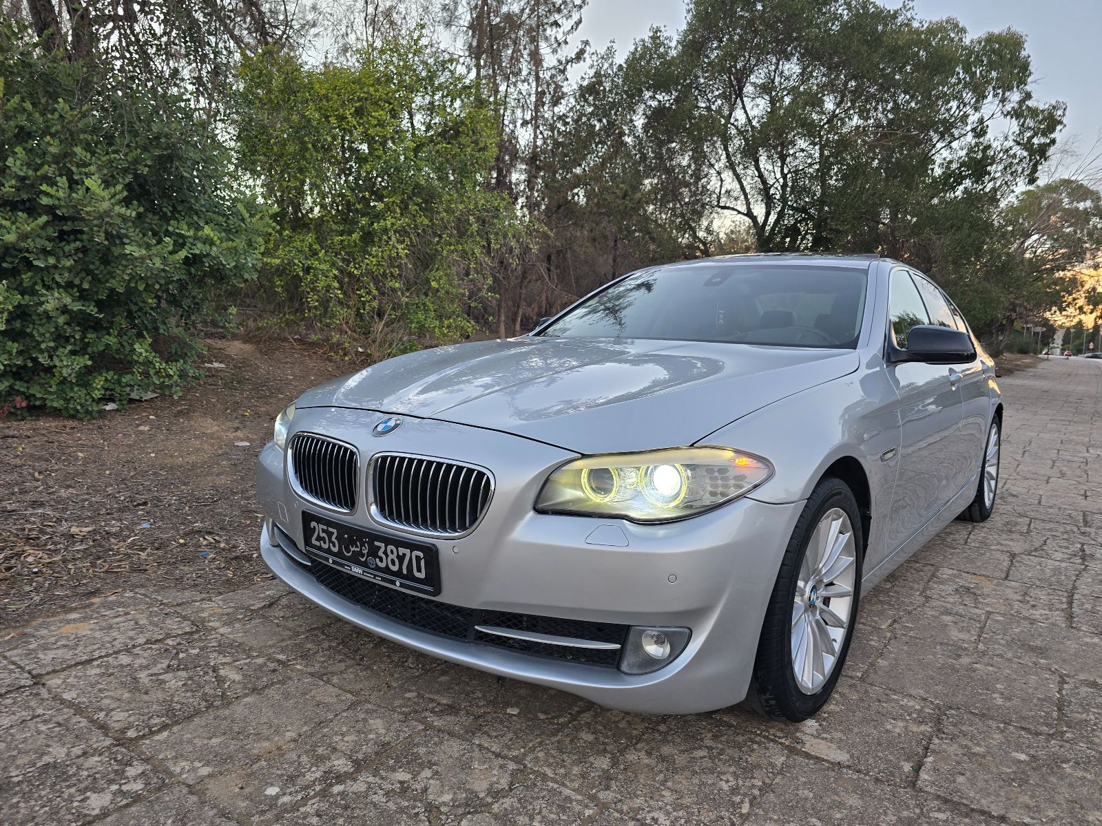 BMW Série 5 Executive Luxury Line 520d 2.0 d 16V Steptronic8 190 cv Boîte auto
