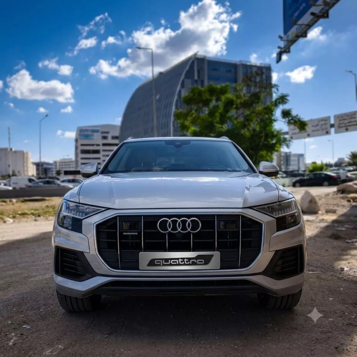 Audi Q8 S-Line