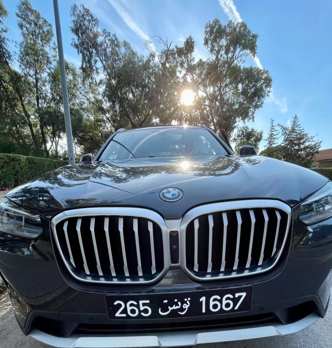 BMW X3 xLine 30e xDrive 2.0 i 16V 292 Plug in Hybrid Steptronic8 184 cv Boîte auto