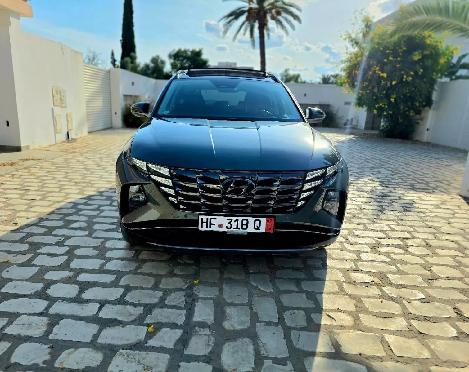 Hyundai Tucson Limited 1.6 TGDi 16V 265 Plug in Hybrid 4WD 179 cv Boîte auto